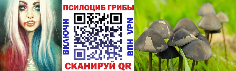 Псилоцибиновые грибы мухоморы  Купить  Бежецк 